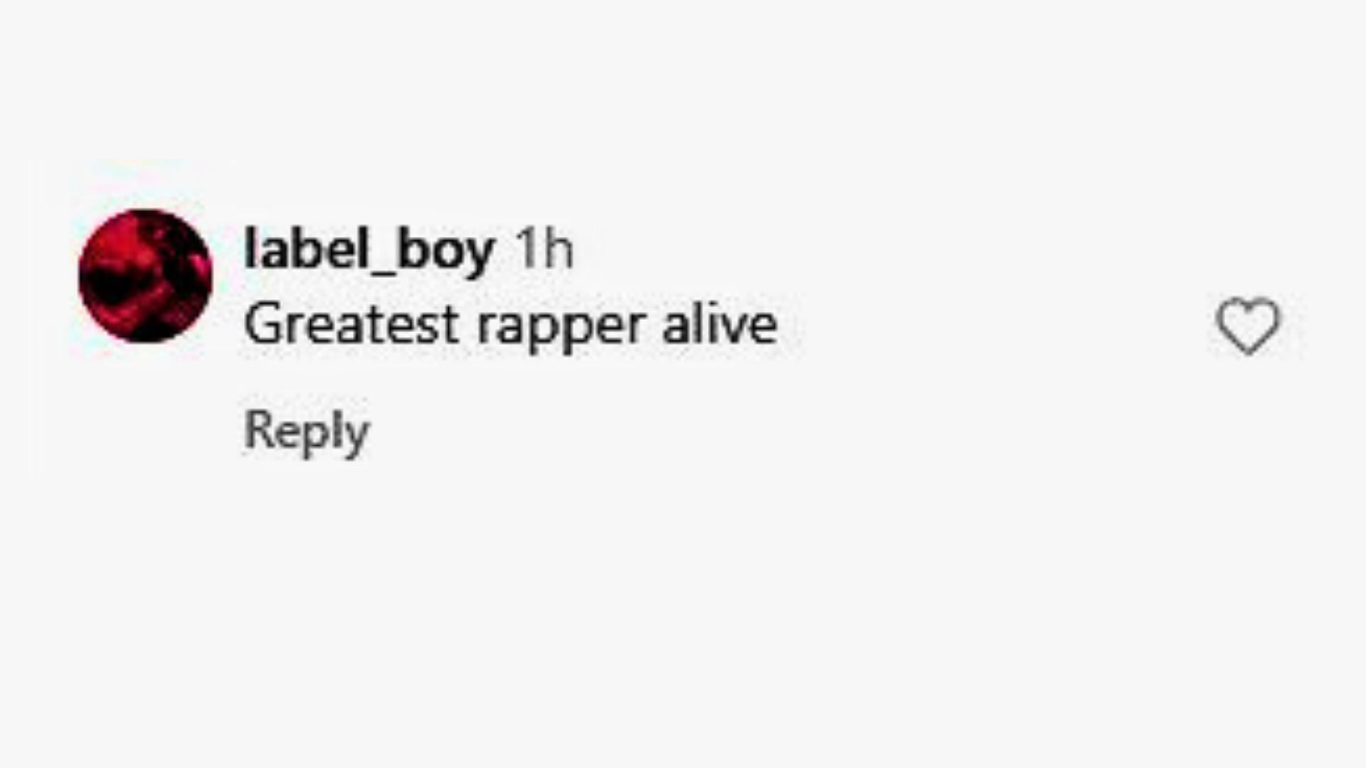 Fans opinions on Tha Carter VI (Image via Instagram/ @liltunechi)